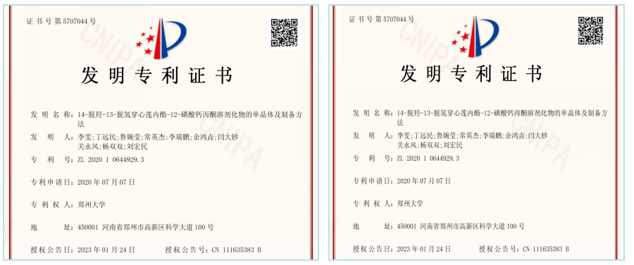 现代医药-穿心莲内酯衍生物的开发研究：图1. 发明专利证书.png