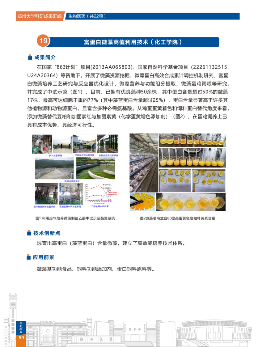  19.富蛋白微藻高值利用技术(郑州大学化工学院).png