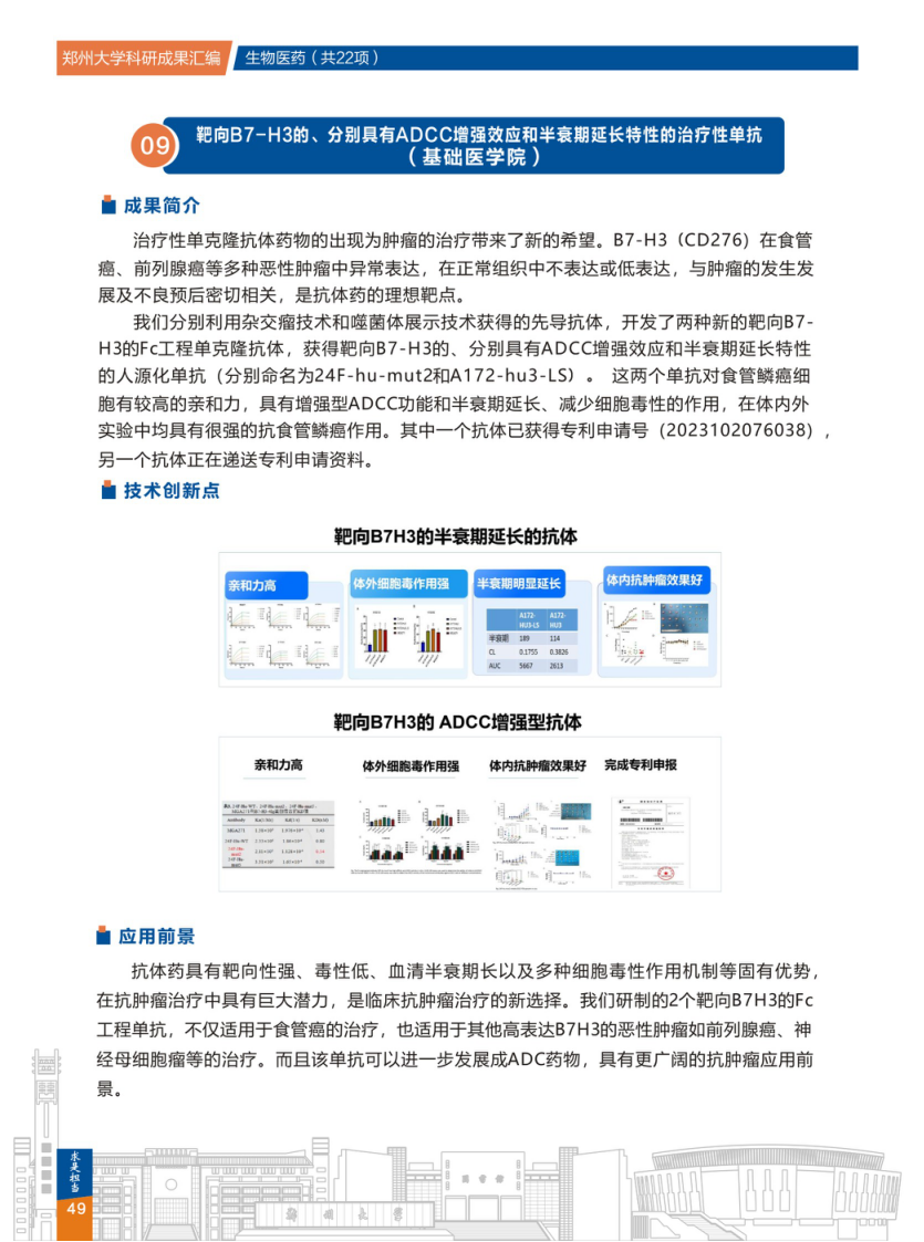 9.靶向B7-H3的、分别具有ADCC增强效应和半衰期延长特性的治疗性单抗(郑州大学基础医学院) .png