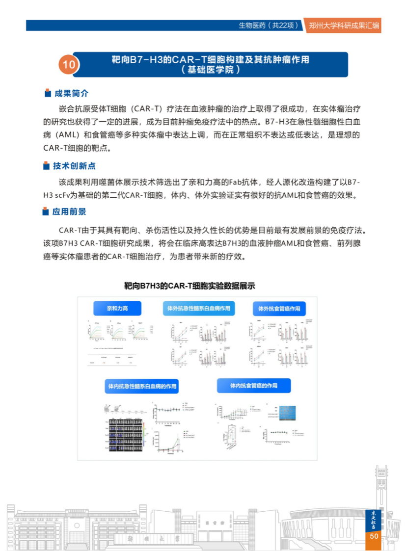 10.靶向B7-H3的CAR-T细胞构建及其抗肿瘤作用(郑州大学基础医学院).png