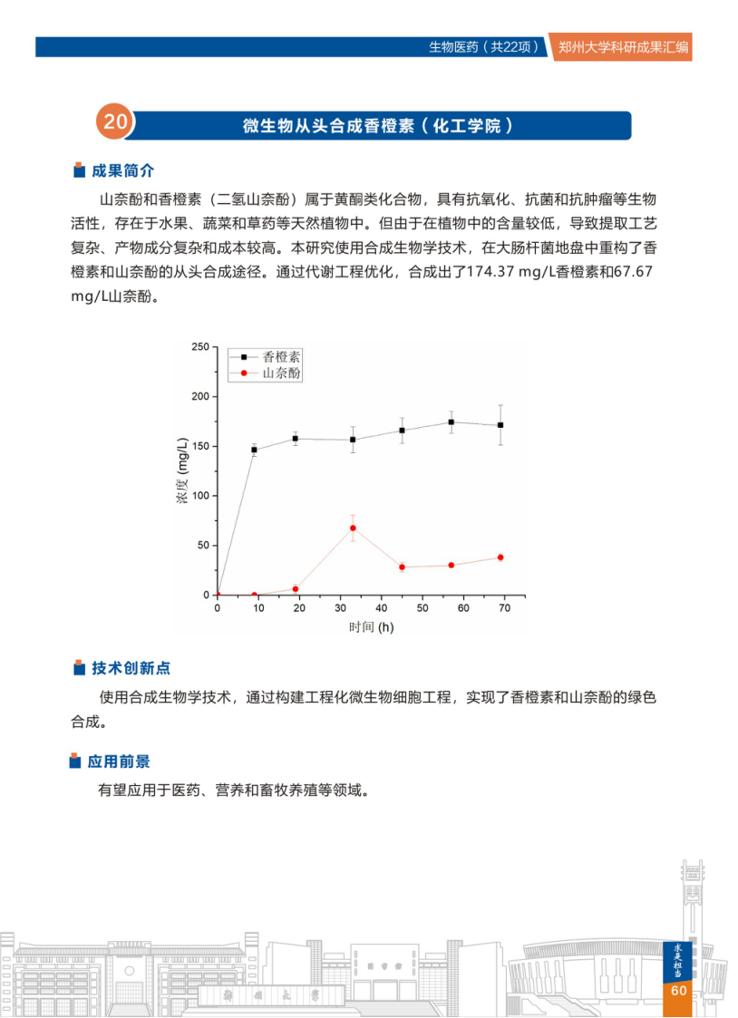 20.微生物从头合成香橙素(郑州大学化工学院) .png