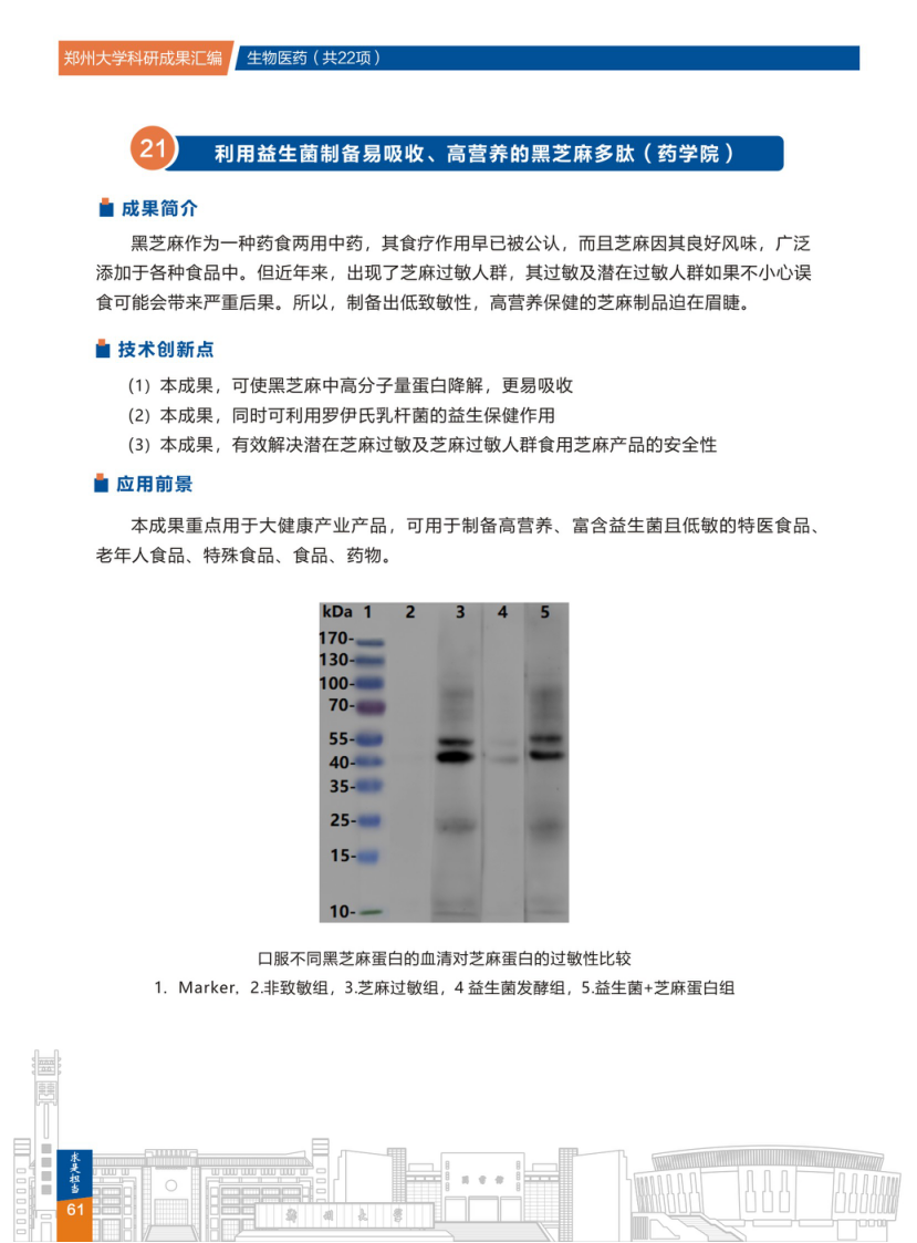 21.利用益生菌制备易吸收、高营养的黑芝麻多肽(郑州大学药学院).png