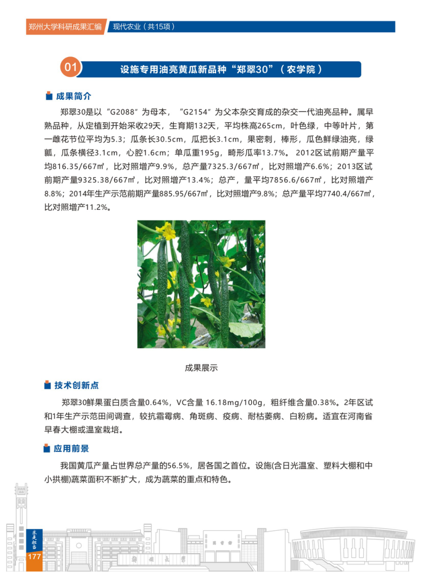 1.设施专用油亮黄瓜新品种郑翠30 (农学院) .png