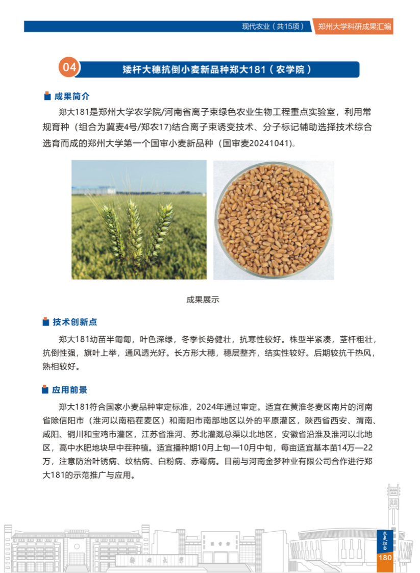 4.矮杆大穗抗倒小麦新品种郑大181(郑州大学农学院) .png