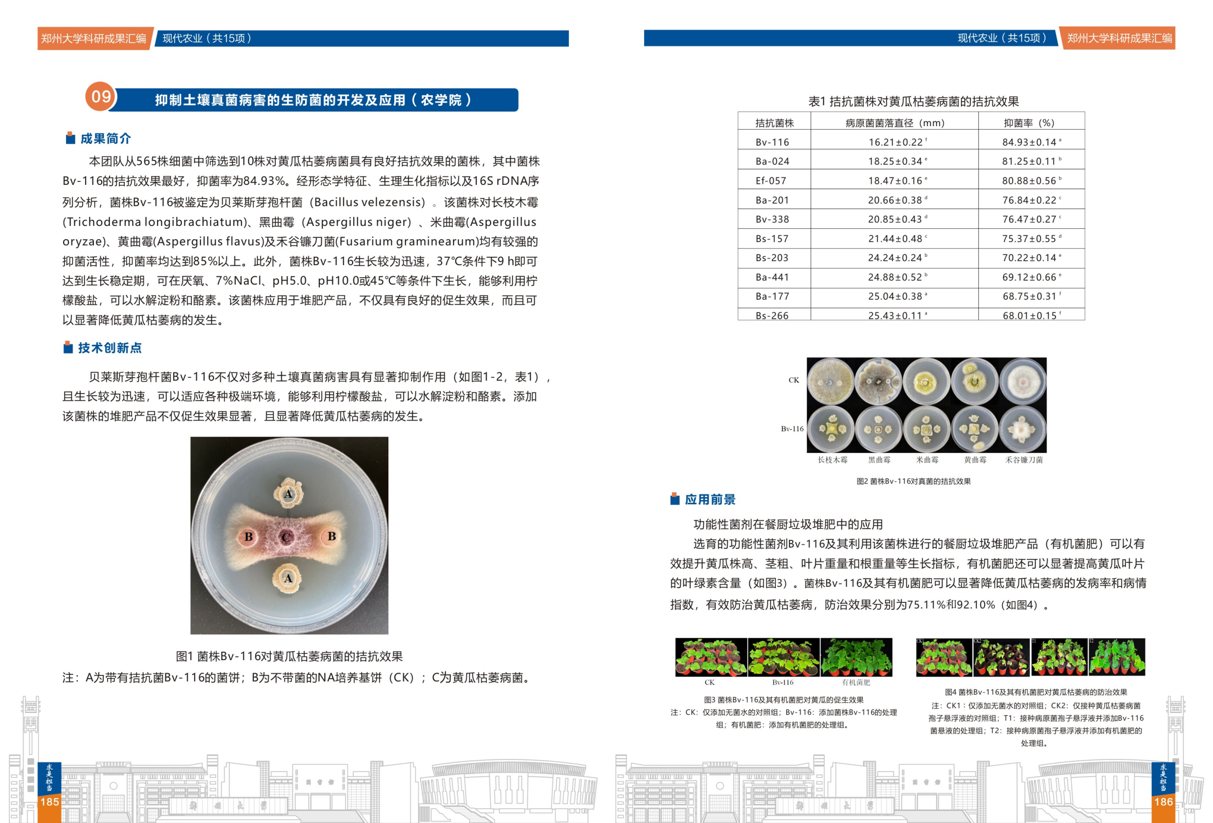 9.抑制土壤真菌病害的生防菌的开发及应用(郑州大学农学院) .png