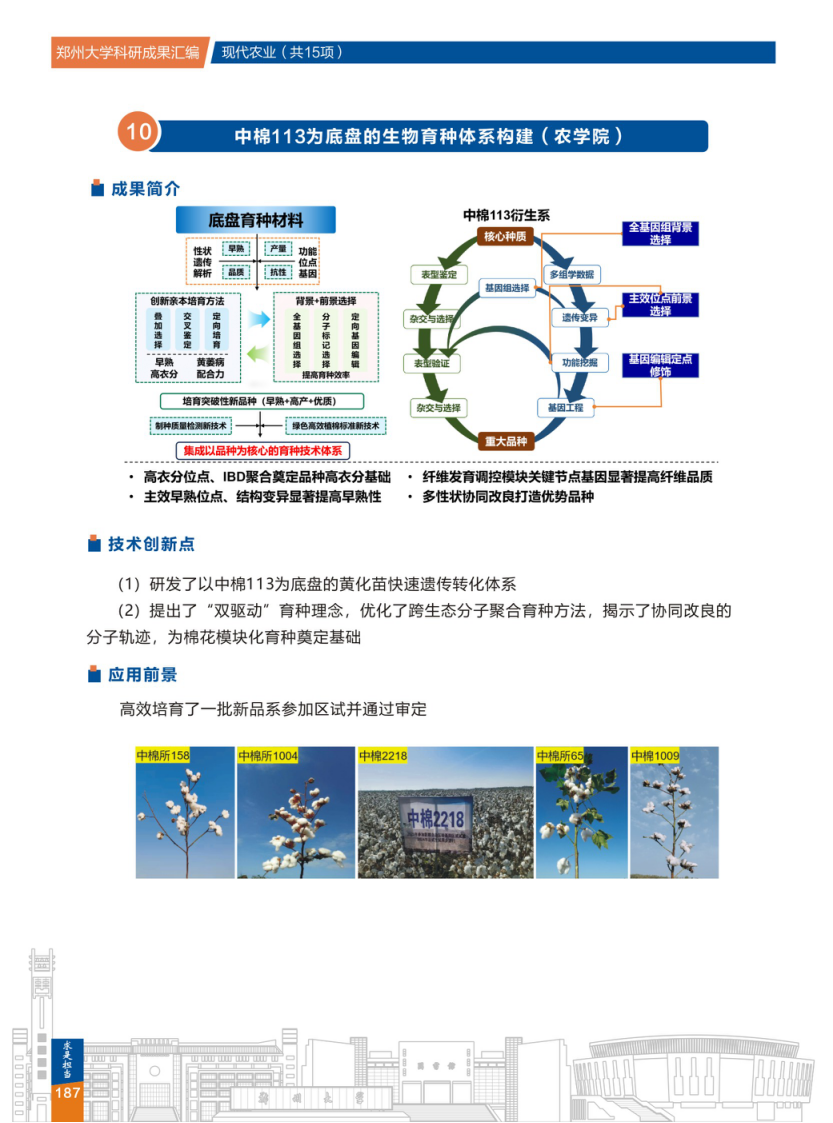 10.中棉113为底盘的生物育种体系构建(郑州大学农学院) .png