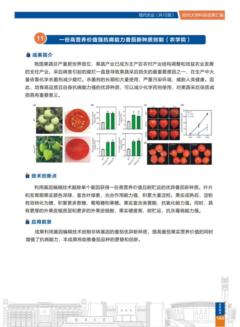 11.一份高营养价值强抗病能力番茄新种质创制(郑州大学农学院) .png