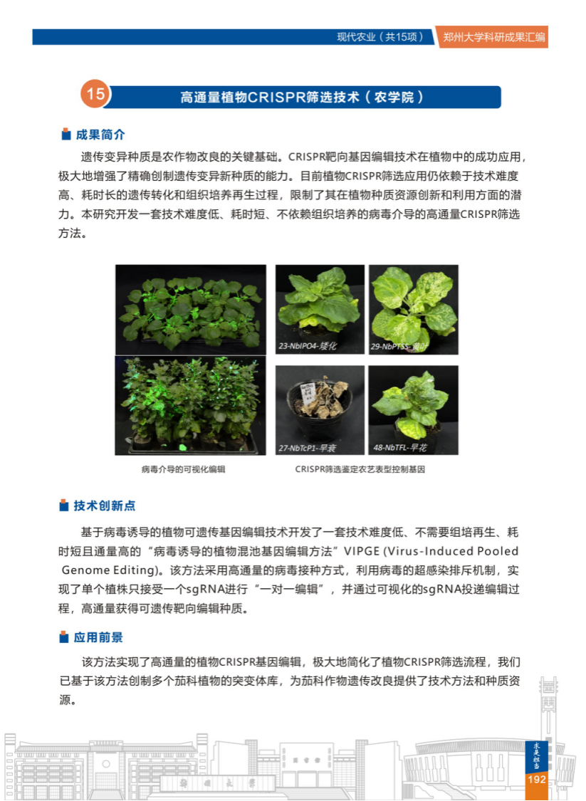 15.高通量植物CRISPR筛选技术(郑州大学农学院).png